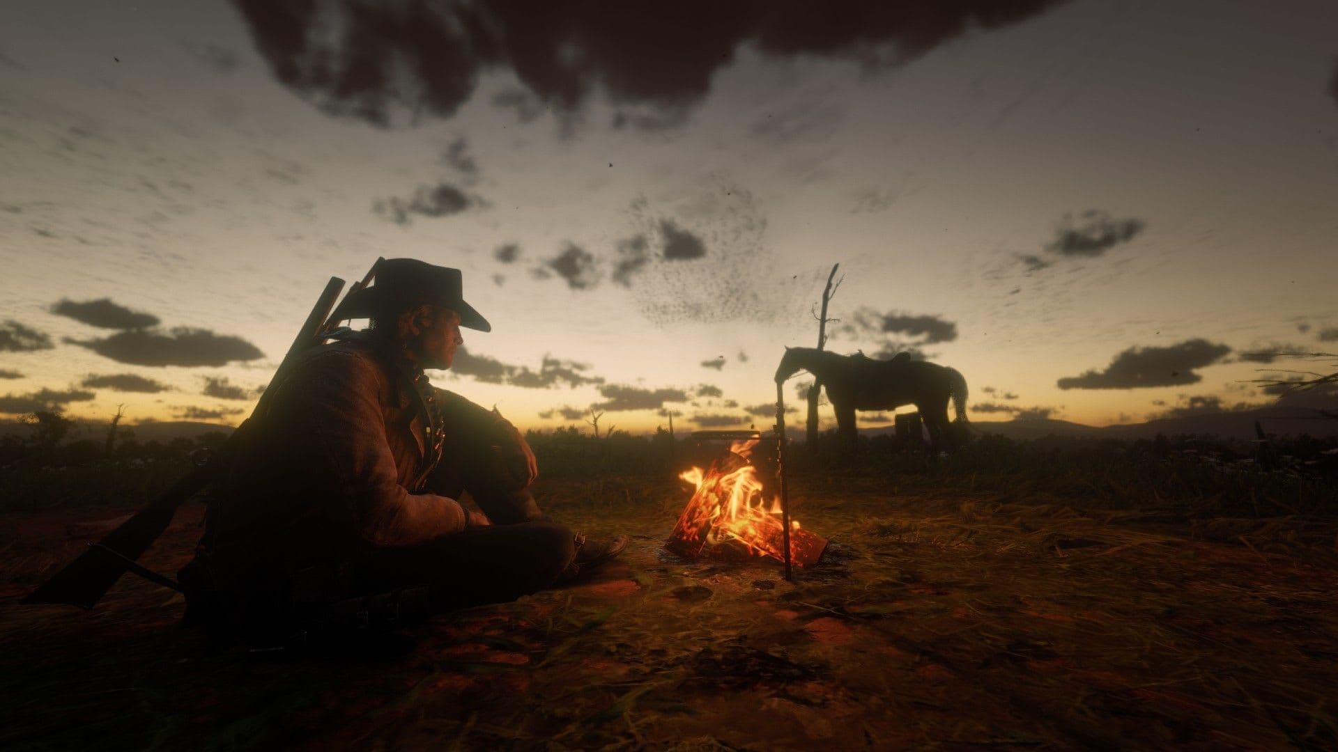 Photo IMG_2554_x0ky9h